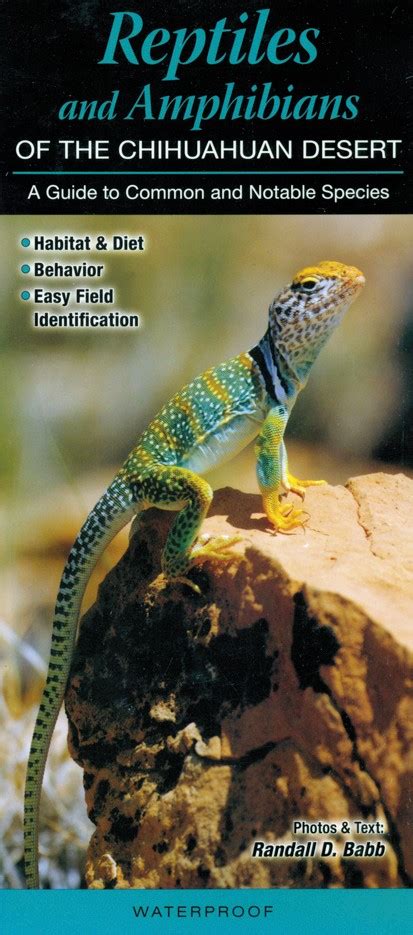 Reptiles and amphibians of the chihuahuan desert a guide to. - Insetos daninhos e parasitas do cacau na bahia.
