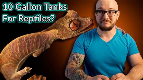 Reptiles that can live in a 10 gallon tank forever. Things To Know About Reptiles that can live in a 10 gallon tank forever. 