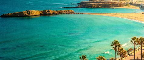 Republic Day 2024, 2025 and 2026 in Tunisia PublicHolidays.africa