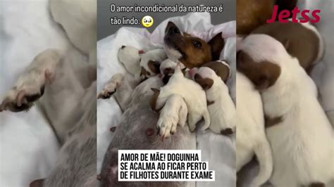 💋 Request Novinha Cachorra Leaked [SEX VIDEO] 119 Vids