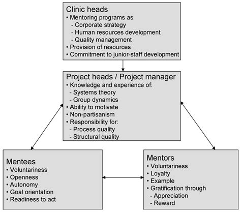 Requirements and framework conditions for mentoring programs also