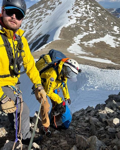 Rescue group saves dog that fell 600 feet from Colorado 14er