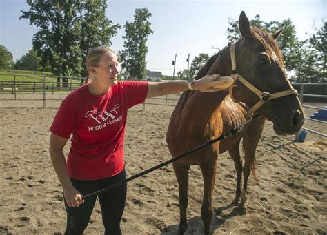 Rescue organization Hope for Horses opens in Stafford
