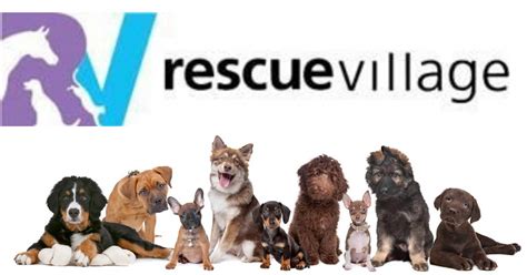 Rescue village. Rescue Village is a nonprofit organization that rescues and adopts animals in eastern Cleveland. Learn about their programs, services, events, and how to get … 