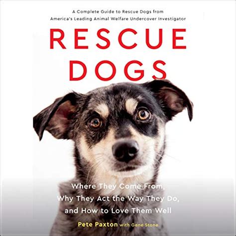 Full Download Rescue Dogs Where They Come From Why They Act The Way They Do And How To Love Them Well By Pete Paxton
