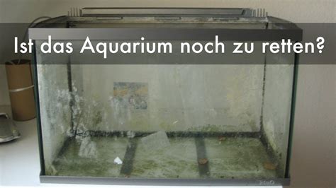 Reseal of an aquarium from trash - YouTube