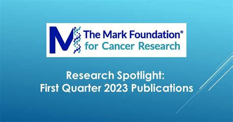 Research Spotlight: The Mark Foundation Reports on First …