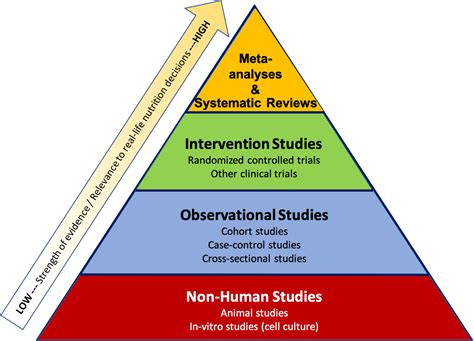 Research Studies & Clinical Trials - UF Health