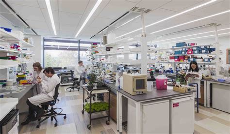 Research University