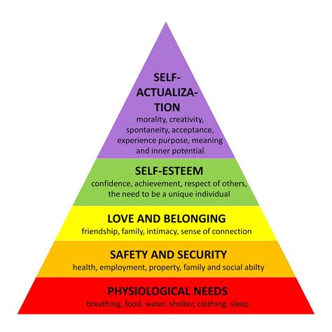 Research on social and humanistic needs in planning and …