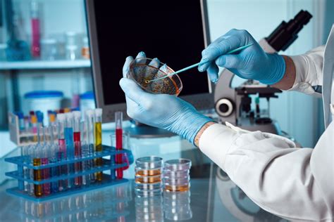 Research projects in biotechnology. Things To Know About Research projects in biotechnology. 