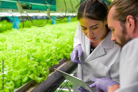 Researchers Develop an Internet Truth