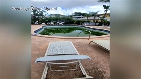 Residents complain about unsanitary pool conditions at South Florida condo