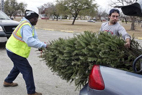 Residents drop off Christmas trees at city recycling sites - mySA