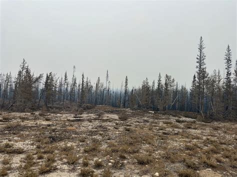 Residents ordered to evacuate the capital of Canada’s Northwest Territories as wildfires near