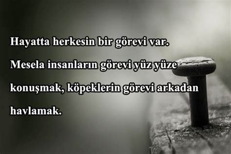 genssuffweb.rgarabwor.edu.pl. 