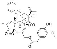 Resiniferatoxin - Wikipedia