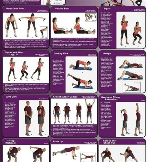 Resistance Band Exercises Infographic Best Infographics