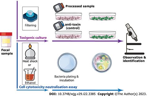 Resources Evaluation of the Liat Cdiff Assay for Direct Detection …