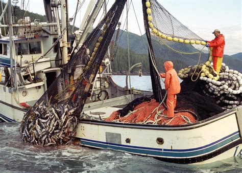 Resources for Fishing: Commercial Fishing | NOAA Fisheries