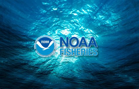Resources for Fishing: Recreational Fishing | NOAA Fisheries