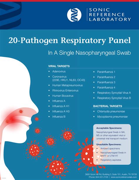 Respiratory Pathogen Panel Main Content. ... The detection and identification of specific pathogen nucleic acids from individuals exhibiting signs and symptoms of respiratory viruses and bacterial pathogens. Collection Guide: Supply: S05 - VCM Nasal Swab. Preferred specimen(s): Nasopharyngeal swab.. 