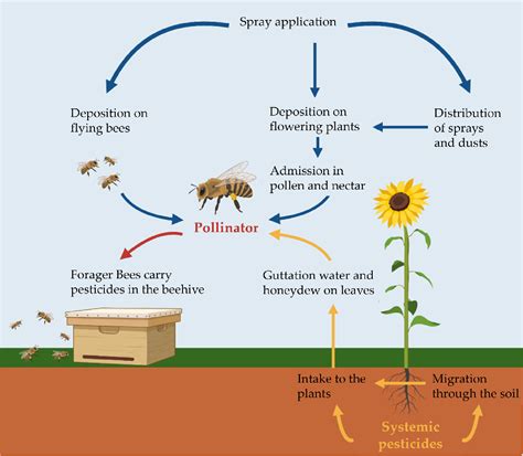 Response of three insects to sublethal doses of phosphine