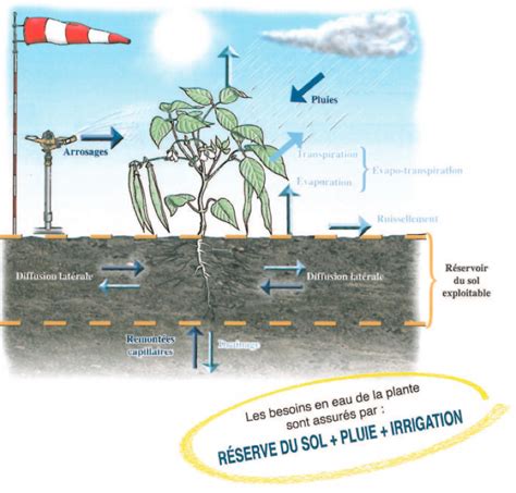 Ressources en eau d'irrigation et ingénierie hydraulique par p n modi. - Design manual for roads and bridges traffic assessment.