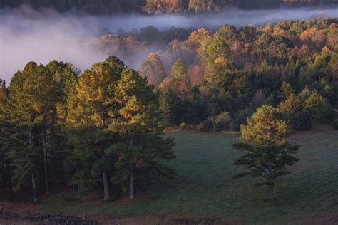 Rest haven obituaries. .  Nov 12, 2025 · "Rest" is a term that...