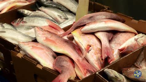 Restaurant Depot Frozen Fish Prices
