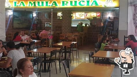 Restaurante La Mula Rucia, Bello - Opiniones del …