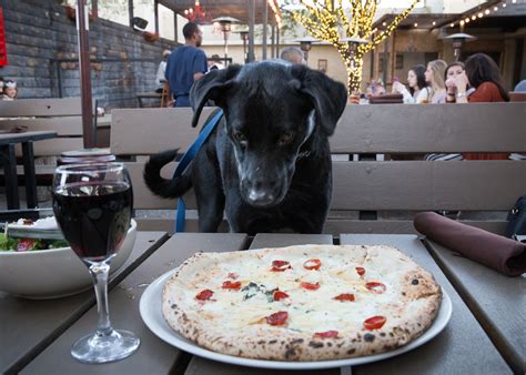Restaurants that allow dogs near me. Feb 11, 2020 · Warehouse District. The OG Texas brewery is one of Houston’s greatest, and after getting a major facelift (which included the addition of an outdoor beer garden) in 2018, you are now free to ... 