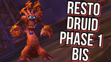 Dec 2, 2020 · Gearing Strategy for Restoration Druids. While a clear best in slot (BiS) list is always available in WoW Classic, the items contained might be extremely hard or expensive to get. Thus, we will try to give at least one alternative, for most slots in the list, so that you can pick where and how to farm them. 2. . 