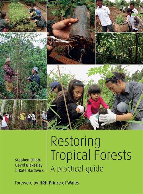 Restoring tropical forests a practical guide. - Yanmar tf m series industrial diesel engine service repair manual.