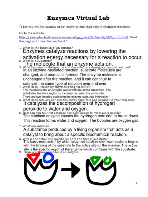 Restriction enzymes virtual lab.  Engage your learners with interactive, hand...