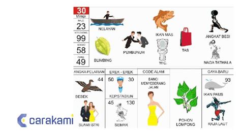 Result sgp 30 12 2017. Erek erek buah pepaya.
