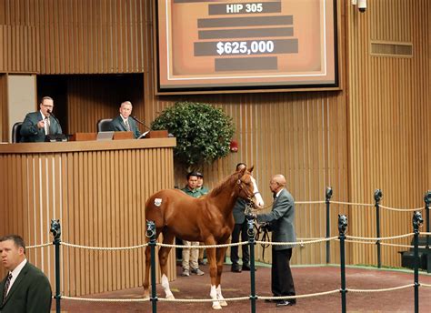 Read Today's Paper. The 2-year-old Commissioner Dan (Commissioner) (hip 120), who captured his debut Wednesday and was supplemented to the sale on Thursday, topped the Keeneland April Selected .... 