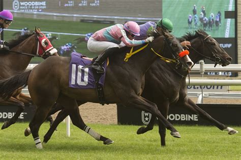 Results for woodbine racetrack. October 13, 2023. Race Day showcases details on horse races and results in Woodbine Racetrack, including programs, photofinish, scratches, changes, to horse jockey, trainer, breeder, and owner. 