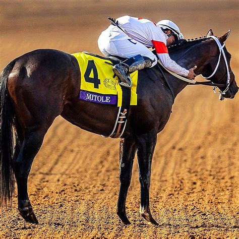 - Keeneland Entries & Results - Santa Anita Entries & Results - Gulfstream Park Entries & Results - Woodbine Entries & Results - Horseshoe Indianapolis Entries & Results. News. Free! Get the HRN app. Latest Headlines - HRN INSIDER - Kentucky Derby News - Podcasts - Wagering & Handicapping. 