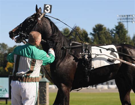 Results saratoga harness. Instant access for Saratoga Harness Race Results, Entries, Post Positions, Payouts, Jockeys, Scratches, Conditions & Purses for August 16, 2021. Saratoga Harness Information Saratoga Casino and Raceway (formerly Saratoga Harness) is a 1/2-mile standardbred race track and racino located in Saratoga Springs, New York. 