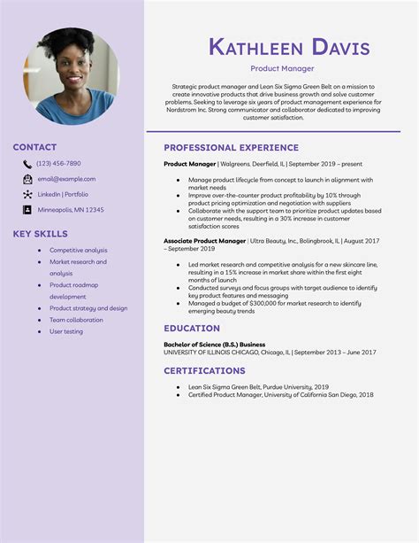 Resume Styles Templates