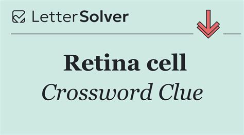 Retina Cell Crossword Clue