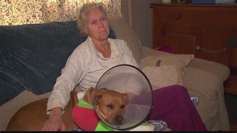 Retired Berkshire nurse rescues dog hit by car in GA