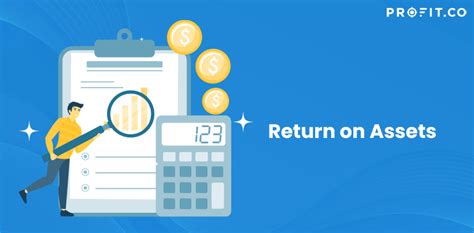 Return On Assets Standard Requirements