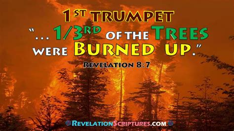 Revelation says 1/3 of the Earth will be burnt up. Are forest fires …