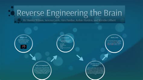 Reverse Engineering The Brain Videos