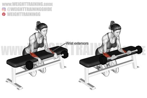 Reverse barbell wrist curl.  Grasp a dumbbell with an overhand grip (i.  Target...