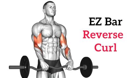 Reverse curl forearm.  The reverse grip hand positioning will 1: What Is a Rever...