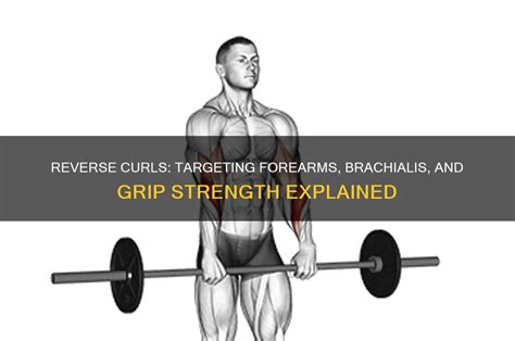 Reverse curls.  Learn what muscle groups are activited, read about pro...