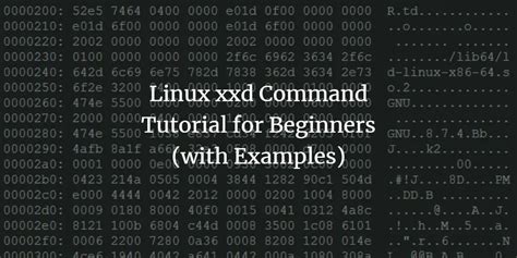 Reverse hexdump linux.  xxd make a hexdump or do the reverse.  On the o...